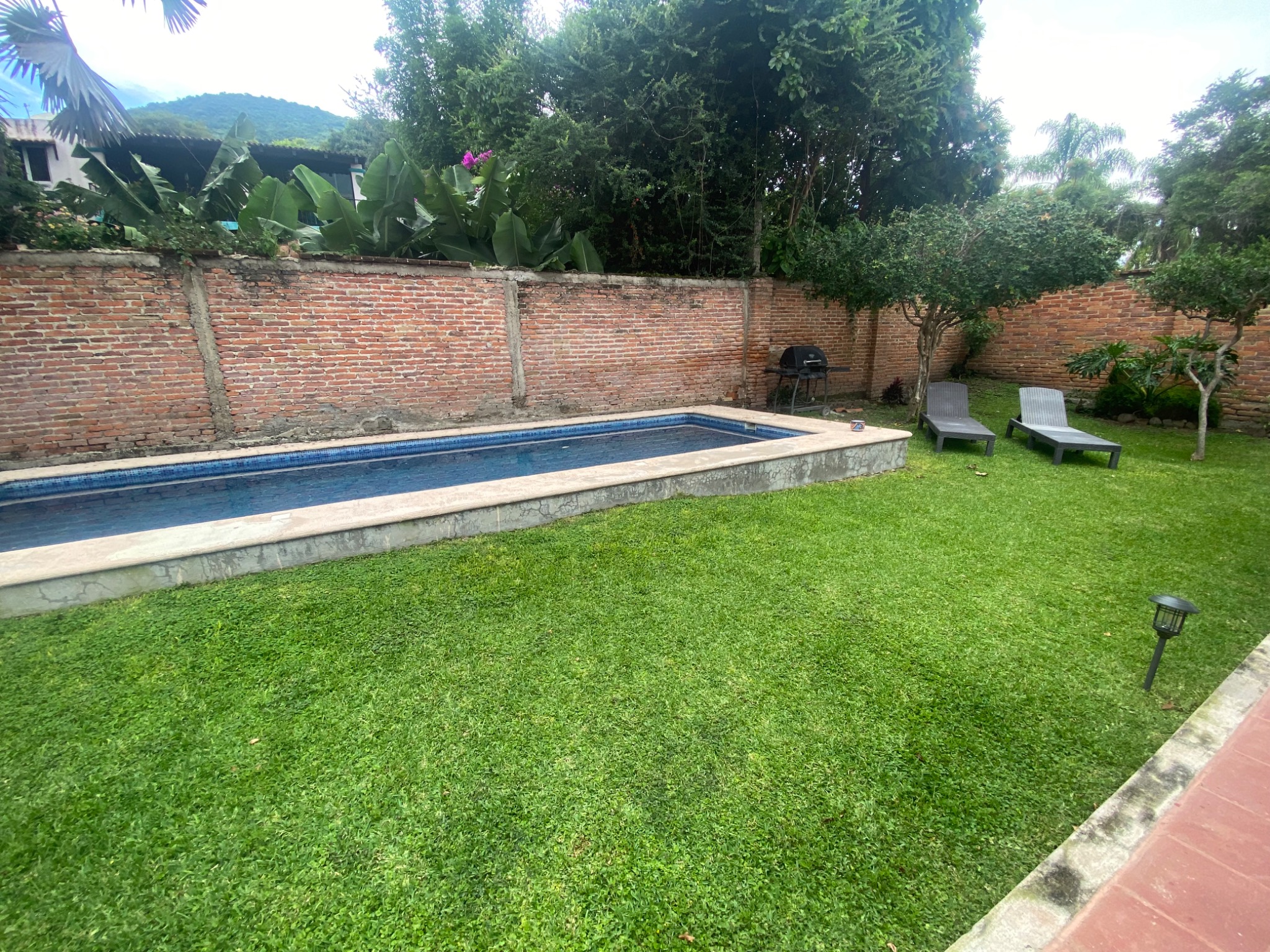 Casa Zebra garden