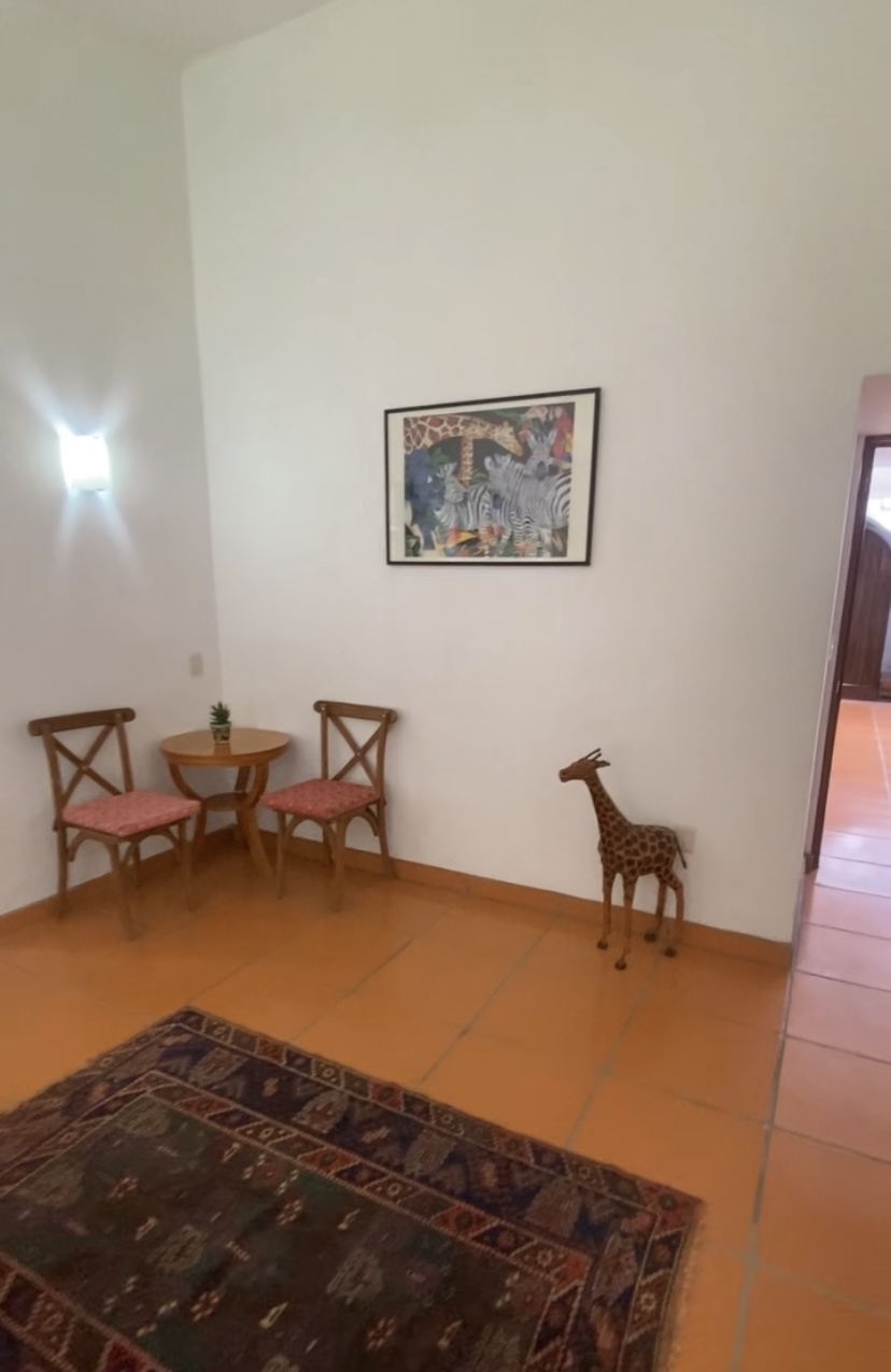 Casa Zebra living space
