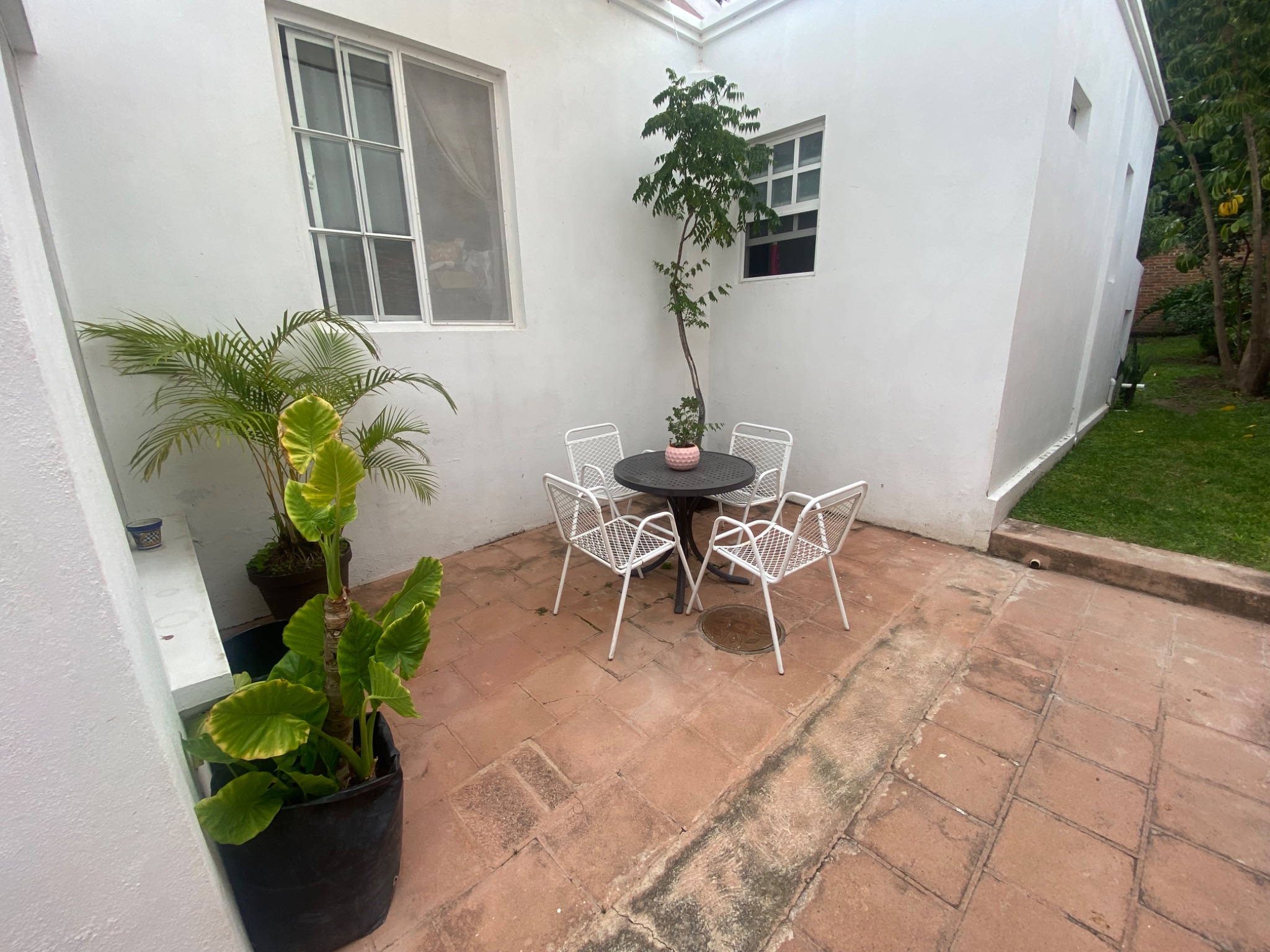 Casa Zebra patio